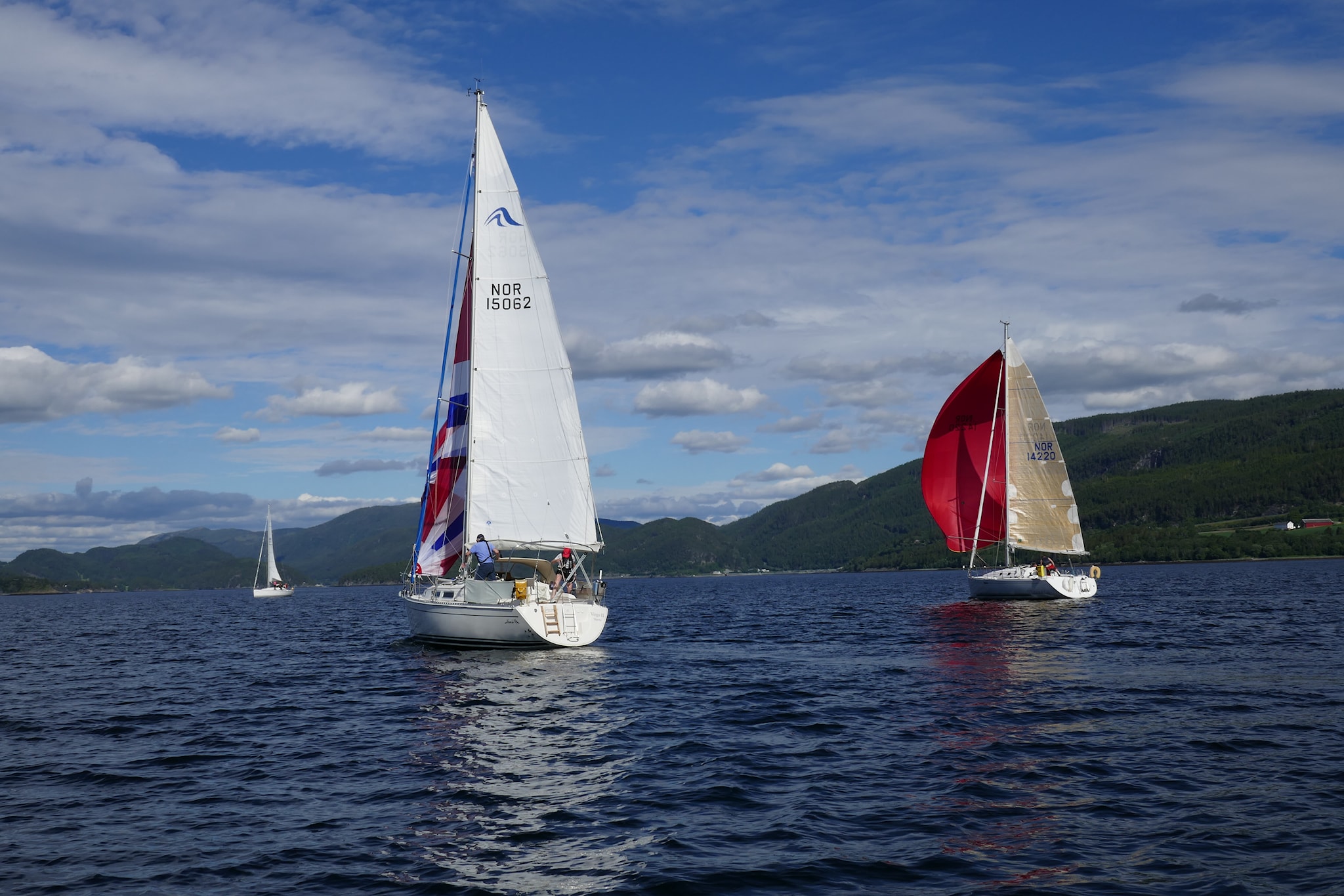Avkortet seilas på Saltøya rundt 2019